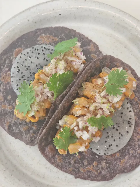 Bottari Taco Photos